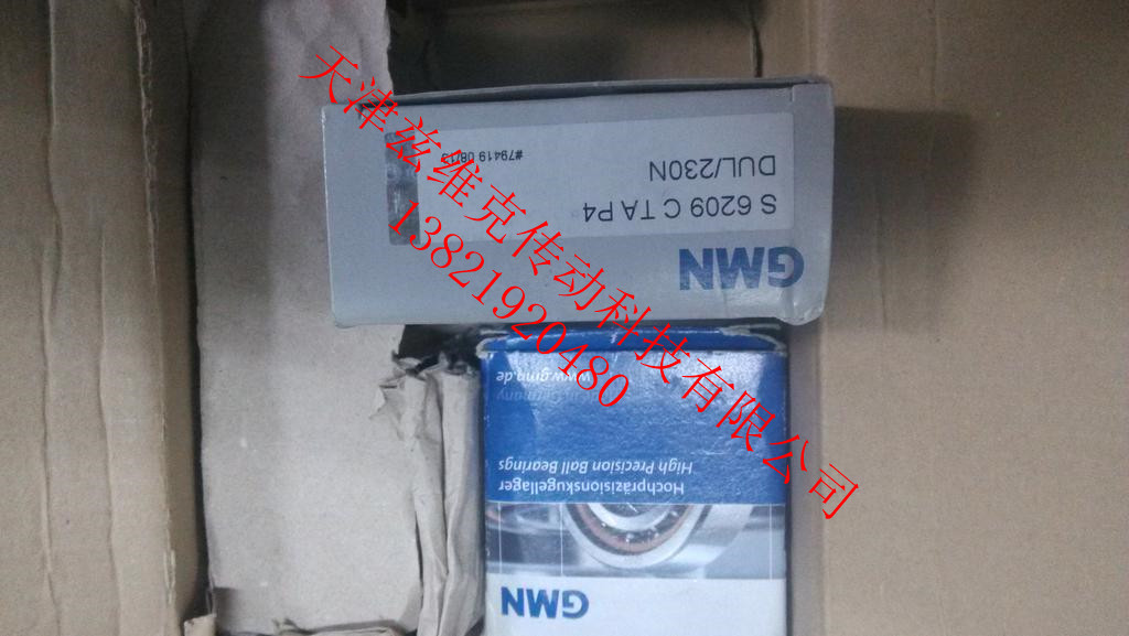 GMN S6012ETAA7DUL軸承