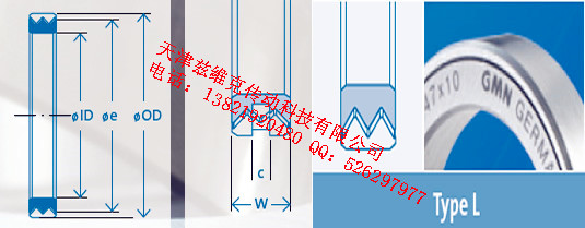 GMNL90X110X10油封圖紙